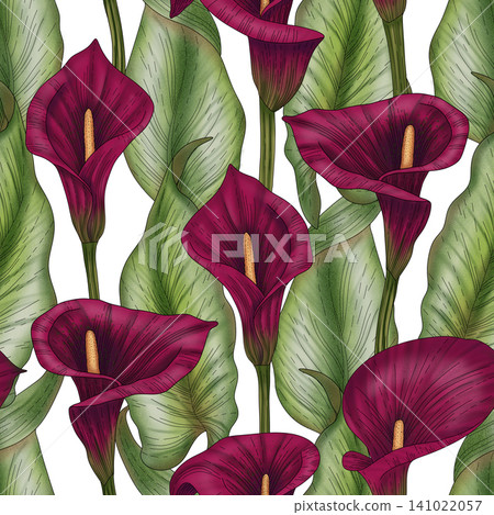 Hand drawn watercolor calla lilies. Seamless pattern with calla flowers, design elements. Floral pattern for invitations, cards, print, gift wrap, manufacturing, textile, fabric, wallpapers Hand drawn watercolor calla lilies. Seamless pattern with calla flowers, design elements. Floral pattern for invitations, cards, print, gift wrap, manufacturing, textile, fabric, wallpapers 141022057