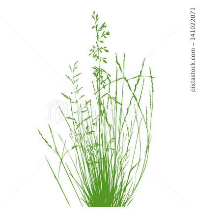 Grass green silhouette vector isolated on white background nature design illustration of grass plant pattern greenery artwork Hand drawn. Not AI, vector illustration. Grass green silhouette vector isolated on white background nature design illustration of grass plant pattern greenery artwork Hand drawn. Not AI, vector illustration. 141022071