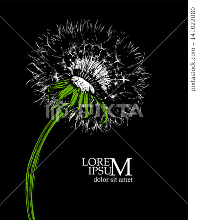 Dandelion on a black background. Hand drawn. Not AI, vector illustration. Dandelion on a black background. Hand drawn. Not AI, vector illustration. 141022080