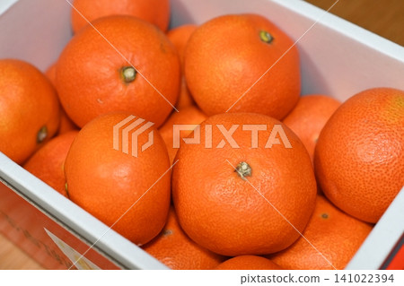 Packed tightly with bright orange mandarins. Packed tightly with bright orange mandarins. 141022394
