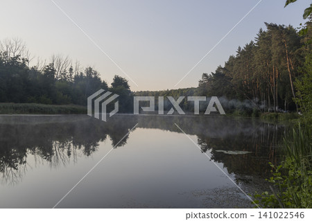 Serene landscape with a calm river flowing through a lush pine forest in the early morning. Soft light reflects off the water surface, surrounded by green reeds under a quiet, misty summer sky. Serene landscape with a calm river flowing through a lush pine forest in the early morning. Soft light reflects off the water surface, surrounded by green reeds under a quiet, misty summer sky. 141022546