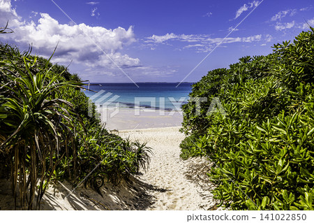 Scenery of Miyakojima sandy beach Scenery of Miyakojima sandy beach 141022850