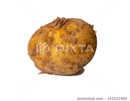 Potato with dirt on its skin sits on a white surface in bright light 141022999