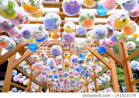 Fresh and beautiful flower bubbles adorn the sky above Aobaen in Saitama City. 141023579