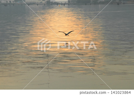 黃昏時分,鳥兒飛越水面。 黃昏時分,鳥兒飛越水面。 141023864