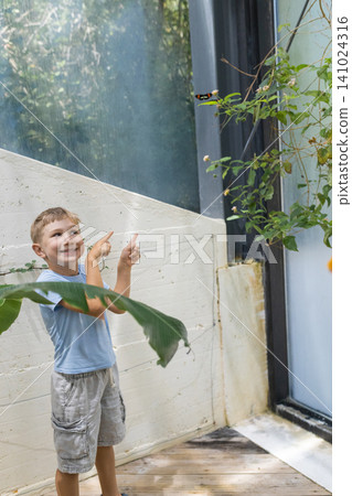 Young boy with short brown hair wearing a light blue shirt points excitedly at a butterfly near green plants inside a bright indoor garden setting Young boy with short brown hair wearing a light blue shirt points excitedly at a butterfly near green plants inside a bright indoor garden setting 141024316