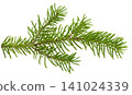 A close-up fir tree branch with rich green needles, isolated on a clear PNG for winter, holiday, or nature-themed designs. 141024339