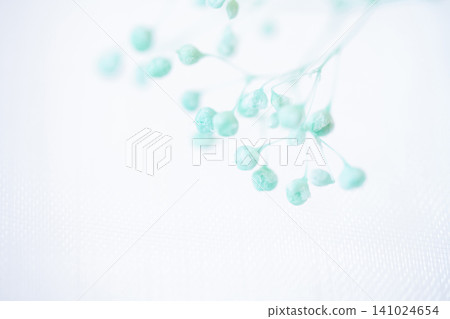 Baby's Breath - Delicate Background Material Baby's Breath - Delicate Background Material 141024654