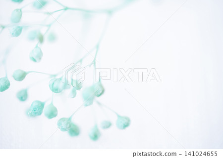 Baby's Breath - Delicate Background Material 141024655