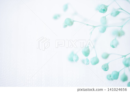 Baby's Breath - Delicate Background Material 141024656