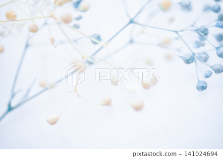 Baby's Breath - Delicate Background Material 141024694