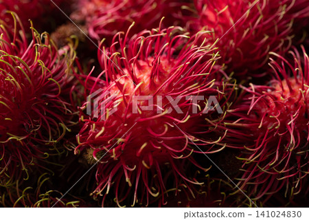 Close-up of fresh rambutan fruit texture background, Tropical summer fruit in Thailand Close-up of fresh rambutan fruit texture background, Tropical summer fruit in Thailand 141024830