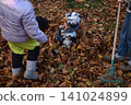 Young father, pre-teen daughter and son in warm autumn clothes spending quality time together among fallen leaves. Happy family enjoying the beauty of fall, playful moments and family life outdoors 141024899