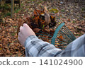 Young father, pre-teen daughter and son in warm autumn clothes spending quality time together among fallen leaves. Happy family enjoying the beauty of fall, playful moments and family life outdoors 141024900