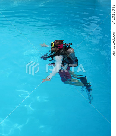 A professional diver and a novice practice diving in a pool. A professional diver and a novice practice diving in a pool. 141025088