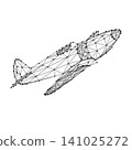 old fighter plane from abstract futuristic polygonal black lines and dots 141025272