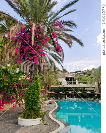 a beautiful large swimming pool near the house a beautiful large swimming pool near the house 141025776