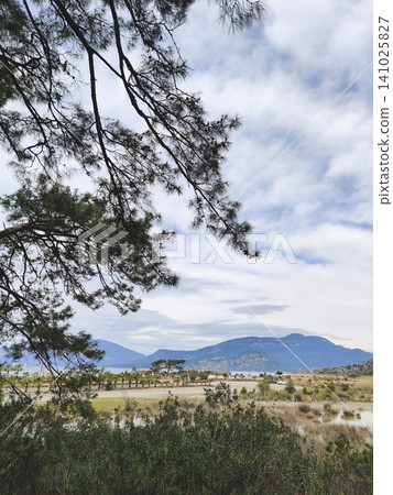 Scenic view of Dalyan delta and mountains under pine trees in Turkey Scenic view of Dalyan delta and mountains under pine trees in Turkey 141025827