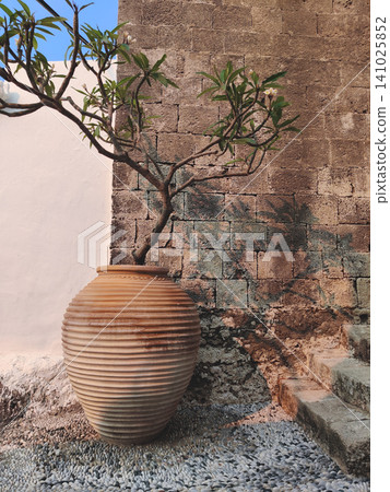 Traditional Greek terracotta pithos with frangipani tree against an ancient stone wall Traditional Greek terracotta pithos with frangipani tree against an ancient stone wall 141025852