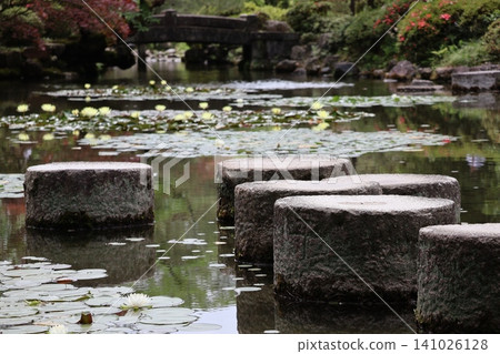A garden scene with stepping stones in a pond. A garden scene with stepping stones in a pond. 141026128