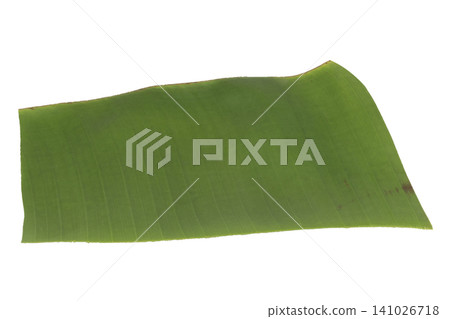 Banana leaf pieces isolated on white background 141026718