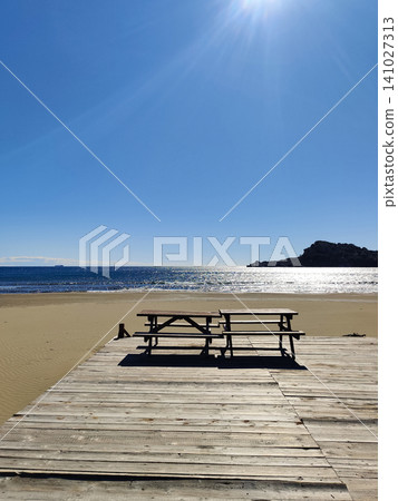 beautiful landscape on the beach near the sea in summer 141027313
