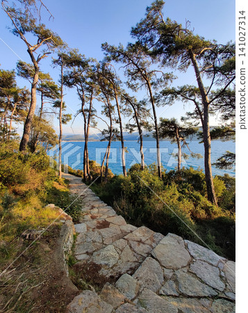 beautiful landscape of the sea and big trees beautiful landscape of the sea and big trees 141027314