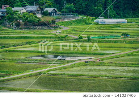 [Early Summer] A Scene from a Certain Countryside [Nagano Prefecture] 141027406