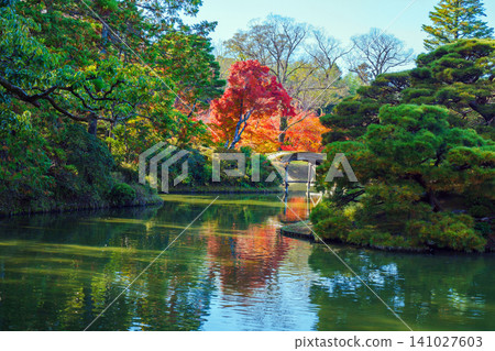 Autumn foliage at Katsura Imperial Villa Autumn foliage at Katsura Imperial Villa 141027603