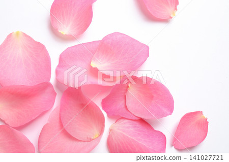 Fresh pink rose petals on white background, top view Fresh pink rose petals on white background, top view 141027721