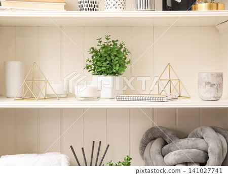 White shelving unit with plant and different decorative stuff 141027741