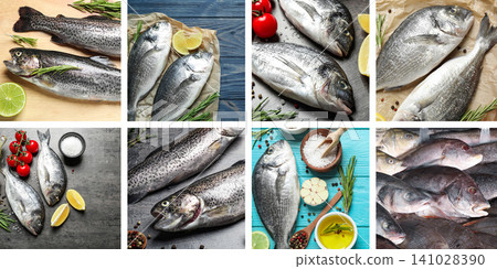 Collage with different delicious fresh raw fishes Collage with different delicious fresh raw fishes 141028390