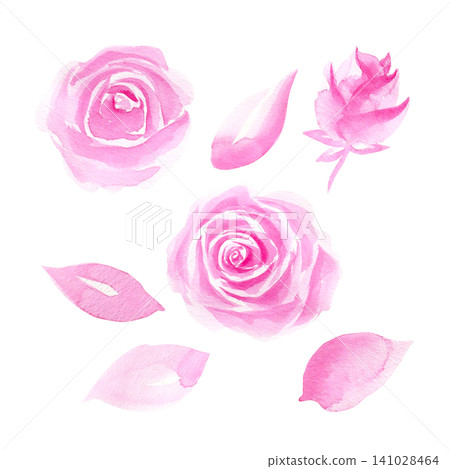 Collection of pink roses and petals watercolor isolated illustration set. Hand drawn floral clipart in coquette aesthetic for romantic soft botanical design. Minimalist sketch in monochrome colors. Collection of pink roses and petals watercolor isolated illustration set. Hand drawn floral clipart in coquette aesthetic for romantic soft botanical design. Minimalist sketch in monochrome colors. 141028464