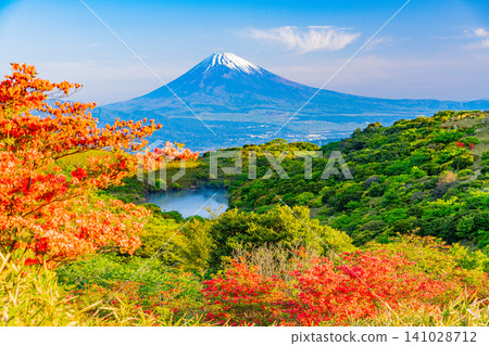 【靜岡縣】箱根源岳上盛開的杜鵑花與富士山。 【靜岡縣】箱根源岳上盛開的杜鵑花與富士山。 141028712
