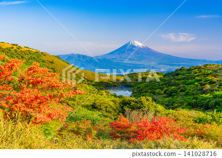 [Shizuoka Prefecture] Full-blooming mountain azaleas and Mt. Fuji on Mt. Gengake in Hakone 141028716