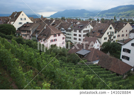 Scenic view of Rapperswil old town rooftops and Lake Zurich from a vineyard Scenic view of Rapperswil old town rooftops and Lake Zurich from a vineyard 141028884