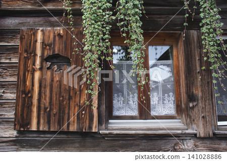 Traditional Swiss wooden window with bear silhouette carving and lace curtains Traditional Swiss wooden window with bear silhouette carving and lace curtains 141028886