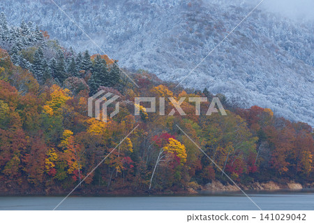北海道中別湖:秋色如夢似幻,五彩斑斕的樹葉與皚皚白雪交相輝映,位於大雪山腳下,是著名的旅遊景點。 北海道中別湖:秋色如夢似幻,五彩斑斕的樹葉與皚皚白雪交相輝映,位於大雪山腳下,是著名的旅遊景點。 141029042