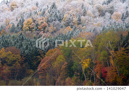 Lake Chubetsu in Hokkaido: A fantastical autumn landscape where colorful leaves and snow intertwine, visible at the foot of Mount Daisetsu. A tourist attraction. Lake Chubetsu in Hokkaido: A fantastical autumn landscape where colorful leaves and snow intertwine, visible at the foot of Mount Daisetsu. A tourist attraction. 141029047
