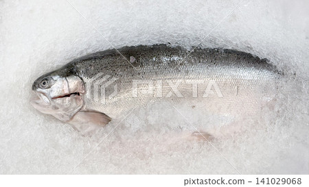 Fresh salmon fish on crushed ice at seafood market display 141029068