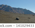 巨大的火山彈和崎嶇的山坡散落在阿蘇千里濱海灘的火山灰中。 141029433