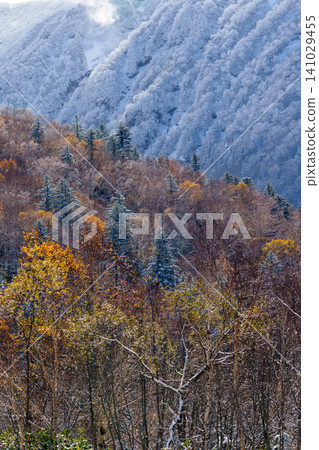 北海道美瑛與上富良野:十勝山腳下,白雪與紅葉交相輝映,構成一幅夢幻般的秋日美景。 (旅遊景點) 北海道美瑛與上富良野:十勝山腳下,白雪與紅葉交相輝映,構成一幅夢幻般的秋日美景。 (旅遊景點) 141029455