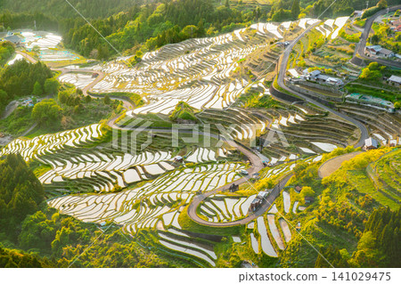 Maruyama Senmaida (Mie Prefecture) boasts a vast area of 1,340 terraced rice fields. 141029475