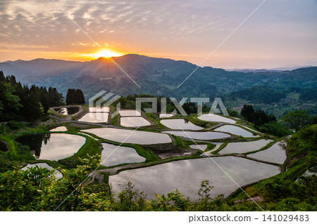 Sunrise view of the terraced rice fields of Yamakoshi (Niigata Prefecture) Sunrise view of the terraced rice fields of Yamakoshi (Niigata Prefecture) 141029483