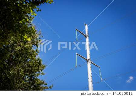 Utility pole with birds perched along power lines against clear blue sky, leafy green tree framing left side, bright sunlight, strong vertical composition with urban wildlife scene Utility pole with birds perched along power lines against clear blue sky, leafy green tree framing left side, bright sunlight, strong vertical composition with urban wildlife scene 141030011