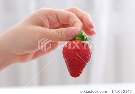Woman holding large fresh strawberry near crate filled with ripe berries 141030143