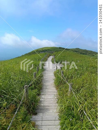 Mt. Sanbe, Mt. Otokosanbe, Wooden boardwalk Mt. Sanbe, Mt. Otokosanbe, Wooden boardwalk 141030481
