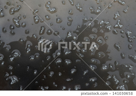 Small ice hailstones gathered on a wet glass surface after a hailstorm Small ice hailstones gathered on a wet glass surface after a hailstorm 141030658