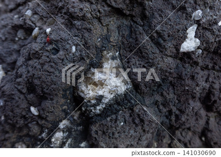 Crystalline calcite mineral deposit embedded in a dark volcanic rock matrix featuring a tiny red mite crawling nearby 141030690