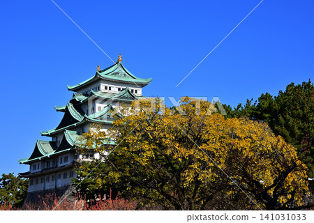 Nagoya Castle keep, adorned with a vibrant blue sky and autumnal trees. Nagoya Castle keep, adorned with a vibrant blue sky and autumnal trees. 141031033